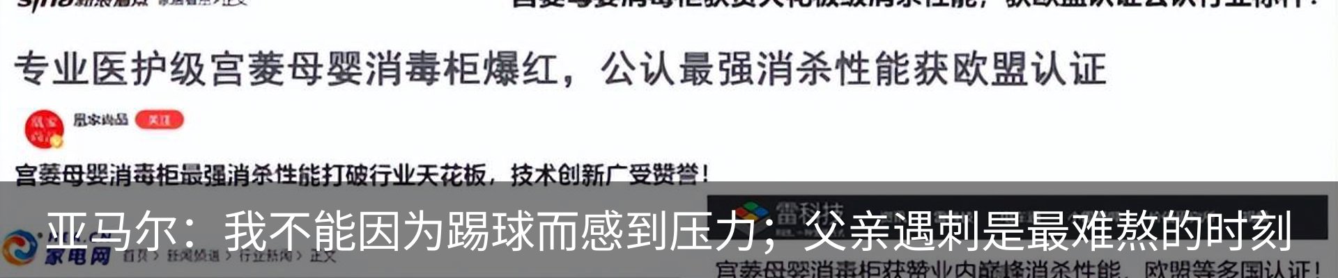 新闻动态