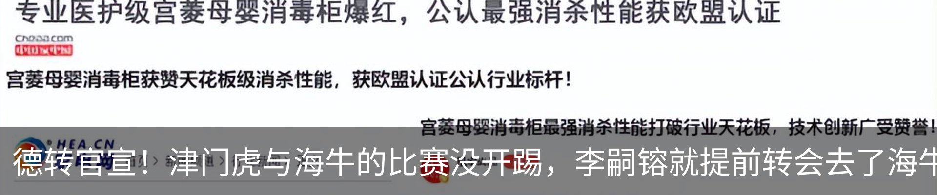 新闻动态