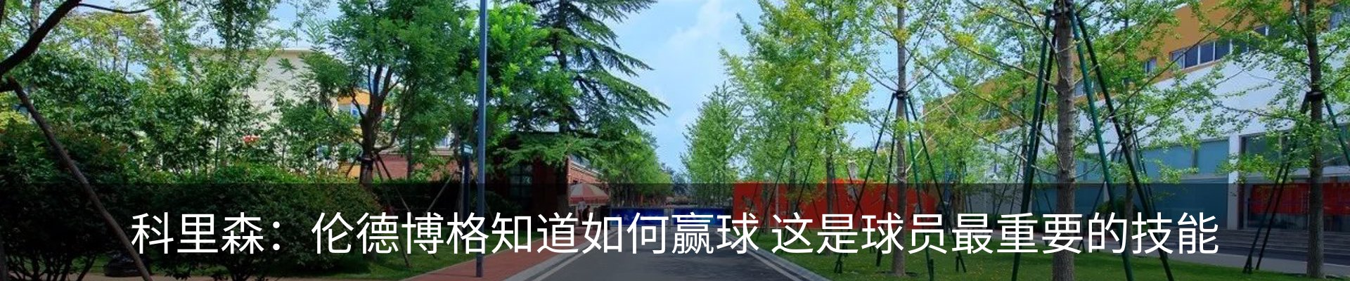 新闻动态